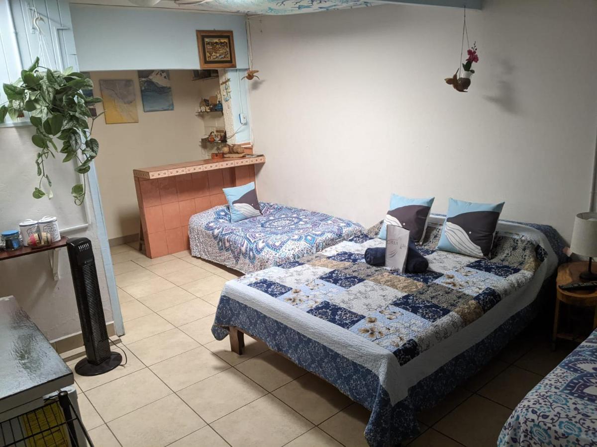 Guesthouse Casa Lapa2 ألاخويلا المظهر الخارجي الصورة