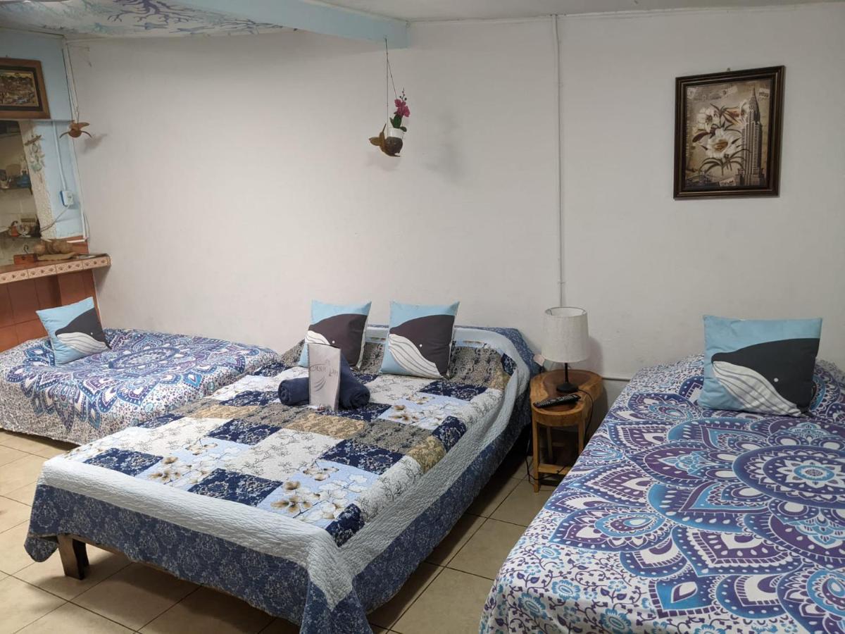 Guesthouse Casa Lapa2 ألاخويلا المظهر الخارجي الصورة